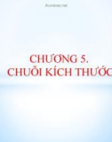 Bài giảng Dung sai và kỹ thuật đo: Chương 5 - Chuỗi kích thước