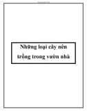 Những loại cây nên trồng trong vườn nhà