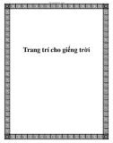 Trang trí cho giếng trời