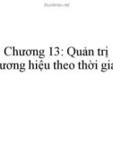 Bài giảng Quản trị thương hiệu - Chương 13: Quản trị thương hiệu theo thời gian