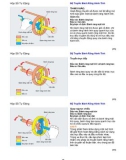 Tài liệu sửa chữa ô tô - Bộ Truyền Bánh Răng Hành Tinh