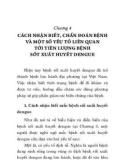 Ebook Bệnh sốt xuất huyết dengue và các biện pháp phòng bệnh tại cộng đồng: Phần 2