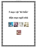 5 mẹo vặt 'hô biến' diện mạo ngôi nhà