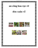 Ban công hoa rực rỡ đón xuân về