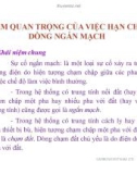 Cầu chì trong Tầm quan trọng của hạn chế dòng ngắn mạch