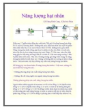 Năng lượng hạt nhân