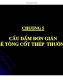 Thiết kế cầu bê tông cốt thép - Chương 5