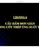 Thiết kế cầu bê tông cốt thép - Chương 6