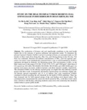 Study on the health impact from beehive coal stoveusage in households in Hoan Kiem, Ha Noi