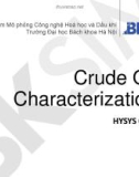 Bài giảng Crude Oil Characterization: HYSYS Oil-1