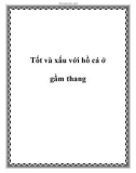 Tốt và xấu với hồ cá ở gầm thang