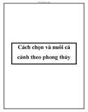 Cách chọn và nuôi cá cảnh theo phong thủy