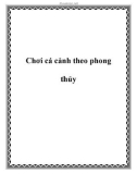 Chơi cá cảnh theo phong thủy