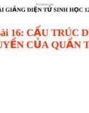 Bài giảng Sinh học lớp 12 bài 16: Cấu trúc di truyền của quần thể