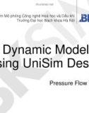 Dynamic modeling using unisim design: Unit 2 - Pressure flow theory