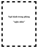 Ngũ hành trong phòng nghe nhìn