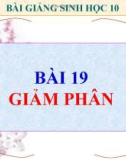 Slide bài Giảm phân - Sinh học 10 - GV.T.V.Phúc