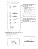 Thực tập điện tử cơ bản part 2