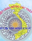 Bài giảng Chương II - Bài 29: Chính sách khai thác thuộc địa của thực dân pháp và những chuyển biến về kinh tế, xã hội ở Việt Nam