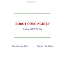 Tiểu luận: Robot công nghiệp