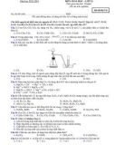 Đề thi KSCL môn Hóa lớp 11 năm 2018-2019 lần 2 - THPT Lê Xoay - Mã đề 743