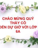 Bài giảng Lịch sử 6 bài 21: Khởi nghĩa Lý Bí. Nước Vạn Xuân (542-602)