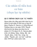 Các nhân tố tiến hoá cơ bản (chọn lọc tự nhiên)