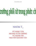 Giáo án điện tử môn Hóa Học: Hóa học lớp 12