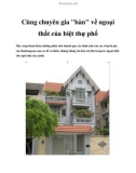 Cùng chuyên gia bàn về ngoại thất của biệt thự phố