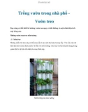 Trồng vườn trong nhà phố Vườn treo