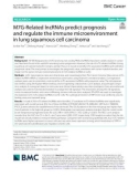 M7G-Related lncRNAs predict prognosis and regulate the immune microenvironment in lung squamous cell carcinoma