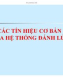 Các tín hiệu cơ bản của hệ thống đánh lửa P1