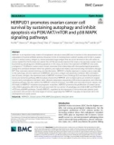 HERPUD1 promotes ovarian cancer cell survival by sustaining autophagy and inhibit apoptosis via PI3K/AKT/mTOR and p38 MAPK signaling pathways