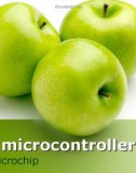 PIC microcontroller Microchip