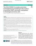 The H2A.Z-KDM1A complex promotes tumorigenesis by localizing in the nucleus to promote SFRP1 promoter methylation in cholangiocarcinoma cells