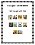 Mang sắc thiên nhiên vào trong nhà bạn