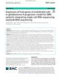 Expression of hub genes of endothelial cells in glioblastoma-A prognostic model for GBM patients integrating single-cell RNA sequencing and bulk RNA sequencing