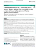 Dentate line invasion as a predictive factor of poor distant relapse-free survival in locally advanced lower rectal cancer with anal sphincter involvement