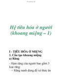 Hệ tiêu hóa ở người (khoang miệng – 1)