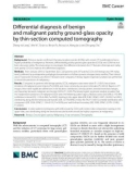 Differential diagnosis of benign and malignant patchy ground-glass opacity by thin-section computed tomography