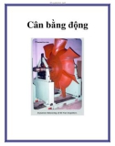 Cân bằng động