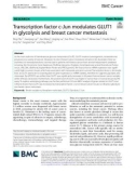 Transcription factor c-Jun modulates GLUT1 in glycolysis and breast cancer metastasis