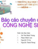 Báo cáo chuyên đề Công nghệ SLA