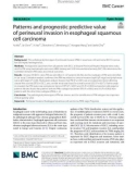 Patterns and prognostic predictive value of perineural invasion in esophageal squamous cell carcinoma