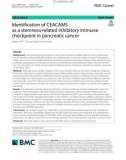 Identification of CEACAM5 as a stemness-related inhibitory immune checkpoint in pancreatic cancer