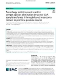 Autophagy inhibition and reactive oxygen species elimination by acetyl-CoA acetyltransferase 1 through fused in sarcoma protein to promote prostate cancer