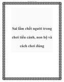 Sai lầm chết người trong chơi tiểu cảnh, non bộ và cách chơi đúng