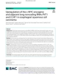 Upregulation of the c-MYC oncogene and adjacent long noncoding RNAs PVT1 and CCAT1 in esophageal squamous cell carcinoma