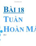 Bài thuyết trình Sinh học 11 - Bài 18: Tuần hoàn máu