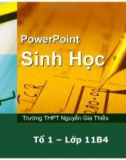 Bài thuyết trình Sinh học 11 - Thực hành: Về tập tính của động vật